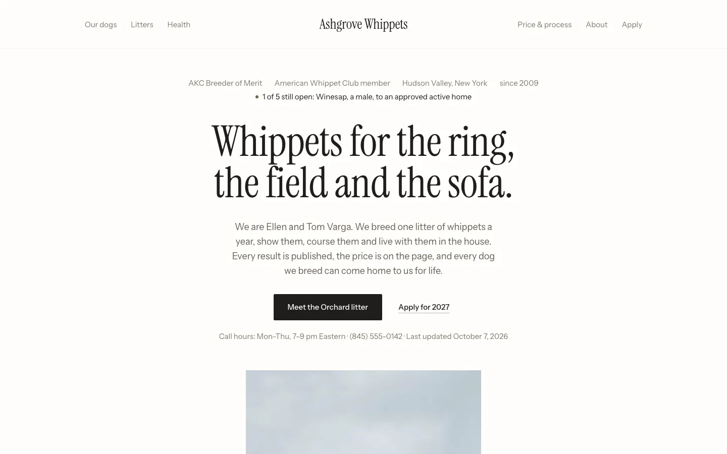 Ashgrove Whippets