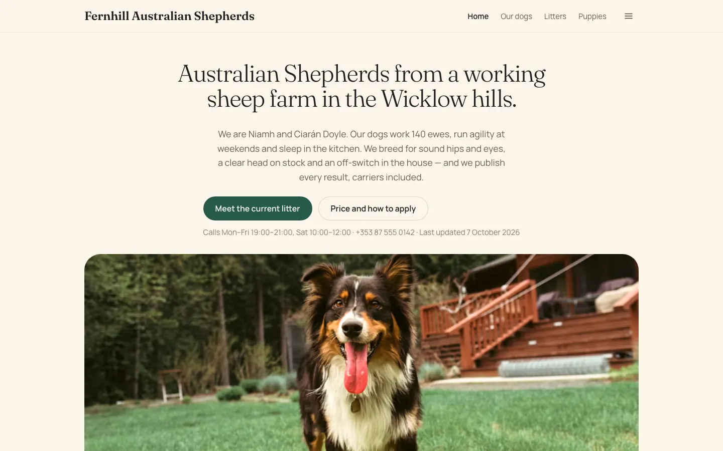 Fernhill Australian Shepherds